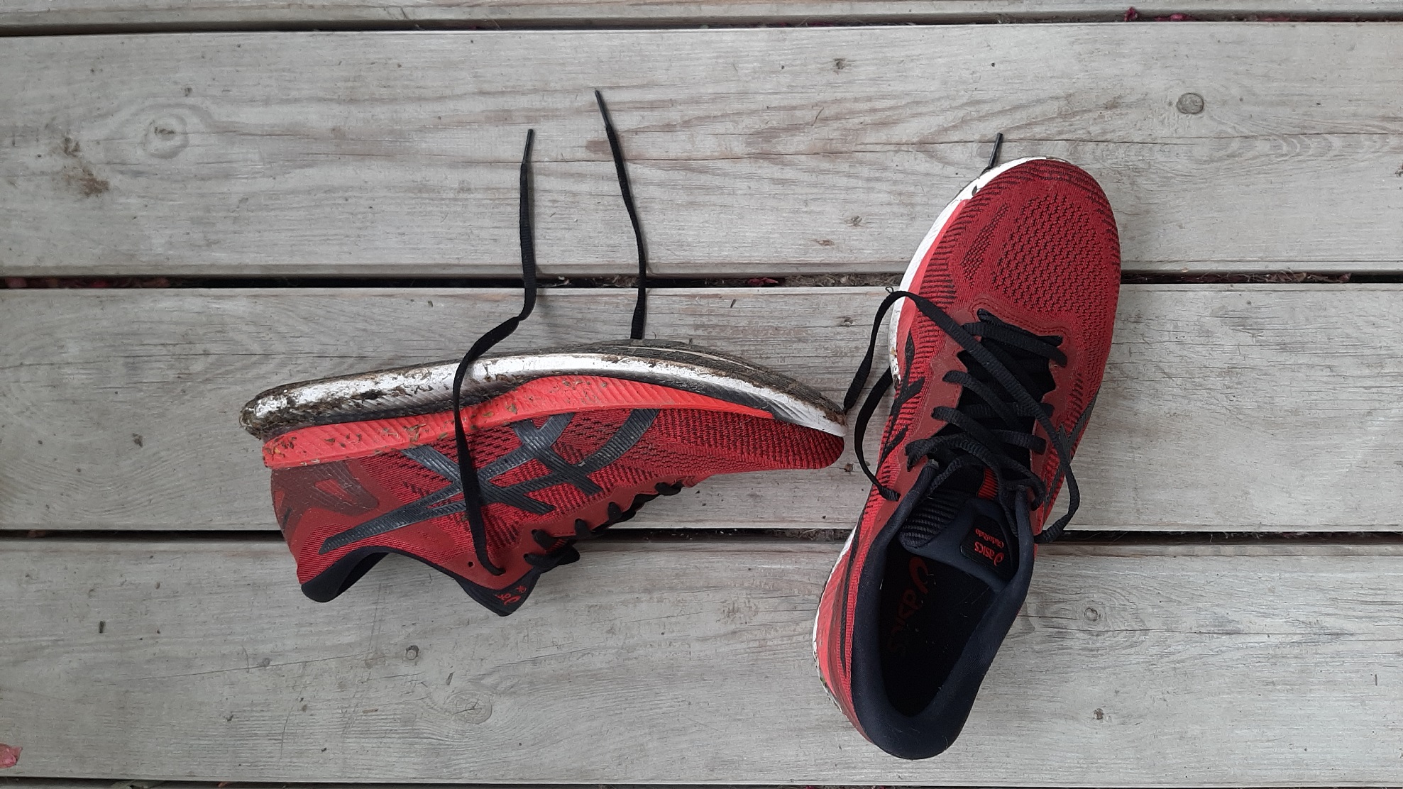 Test asics best sale glide ride